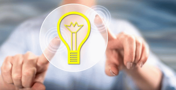 19 نکته درباره بوستون تریر: سگ آپارتمانی دوست داشتنی